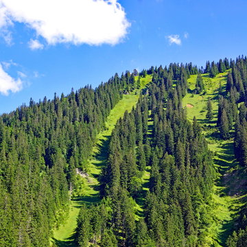 LABER ( 1686 Meter ) - Ammergauer Alpen - Bayern