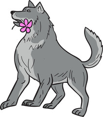 Timber Wolf Holding Plumeria Flower Drawing