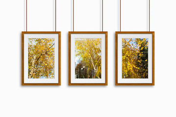 Wooden frames with colorful autumn motif pictures, hanging on cords, gallery style, decor idea mock up