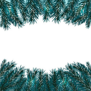 Blue, realistic fir branches. Fir branches with the top and bottom of the picture. Isolated on white background. Christmas illustration