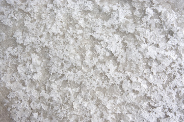 Bay salt texture