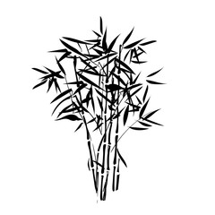 isolated silhouette bamboo