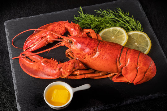 高級ロブスター　 High-quality lobster