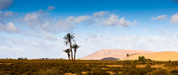 Oasis near Guelmim, Morocco