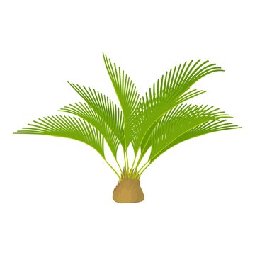 Small palm tree icon. Cartoon illustration of small palm tree vector icon for web