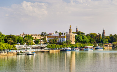 Fototapeta na wymiar View of the Torre del Oro, a tower in Seville, Spain