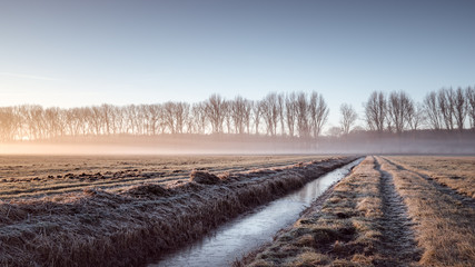 Nebliger Sonnenaufgang in Brandenburg