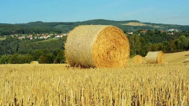 view of the big haystacks on the field - city in the distance