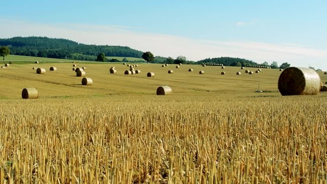 large field with haystacks near by road and forest