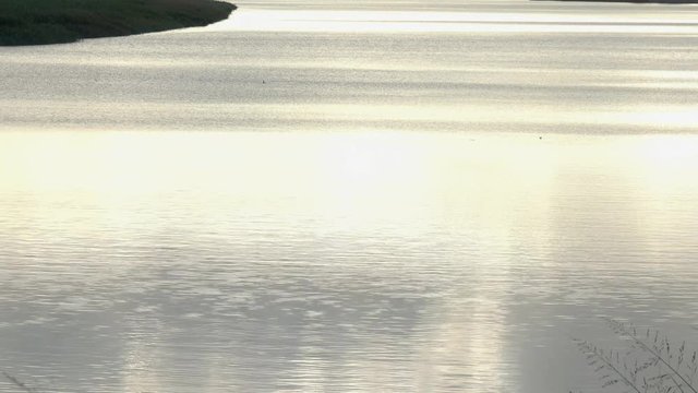 4K・静かな早朝の川面_02-168