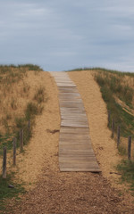 Dune à Olonne-sur-Mer