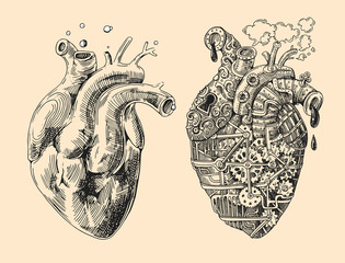 hearts mechanical and alive