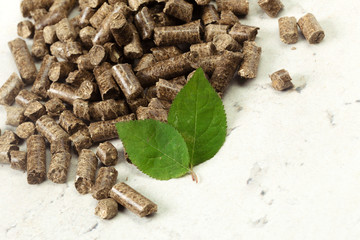 Green leaf on solid wooden pellets background