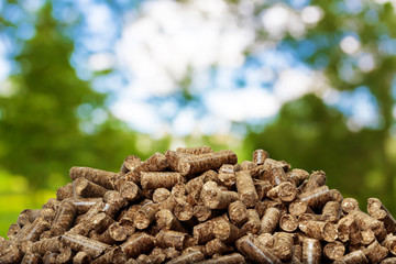 Wood pellets on a green background. Biofuels.