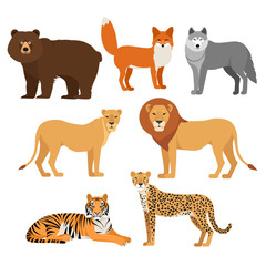 Predatory animals set wolf bear fox tiger lion cheetah isolated on white