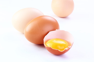 eggs