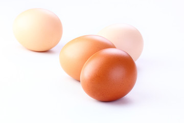 eggs