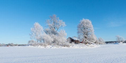  wintry landscape and tree branches covered with white frost