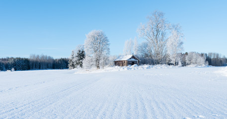  wintry landscape and tree branches covered with white frost