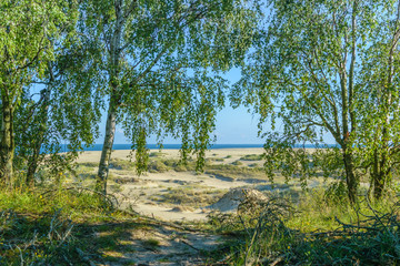 RUSSIA, VILLAGE of "MARINE"- August, 2016: the Curonian spit. Dune EFA