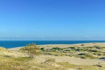 RUSSIA, VILLAGE of "MARINE"- August, 2016: the Curonian spit. Dune EFA