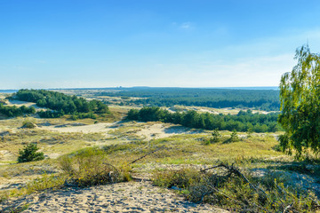RUSSIA, VILLAGE of "MARINE"- August, 2016: the Curonian spit. Dune EFA