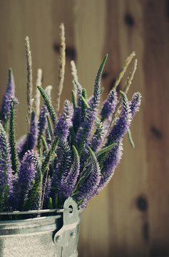 Bouquet of blue wild summer flowers in a metal bucket on a white background, a decor in vintage style