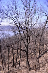 Obraz premium 자연