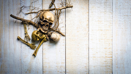 skull and root on white wooden background, Life and death concep
