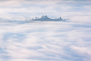 Beautiful Sunrise of travel place view the peak of mountain at Phu chi dao in Chiangrai,Thailand
