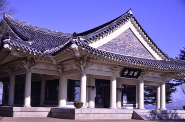 Fototapeta premium 자연