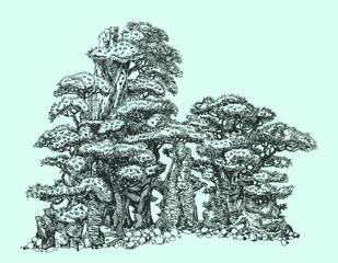 Маленькая роща. © ozrolf