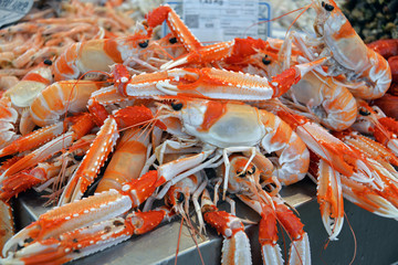 fangfrische Langostinos auf dem Wochenmarkt von Cadiz