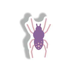 spider stylish icon in paper sticker style spider insect