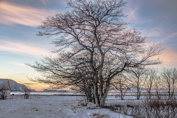 winter, sky, landscape Norway  