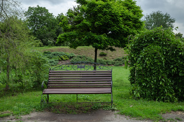 bench in the park in summer