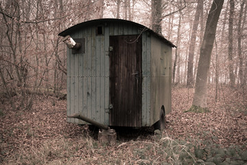Alter Bauwagen im Wald