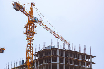 Building process and tower cranes 