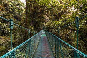 Suspended bridge over the canopy of trees in Monteverde, Costa Rica, Central America