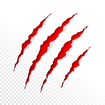 Claws scratches on transparent background