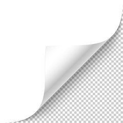 Blank white page curled corner with shadow on transparent background 