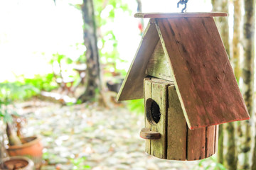 bird house in the nature