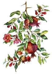 Watercolor hand painted pomegranate branches and flowers