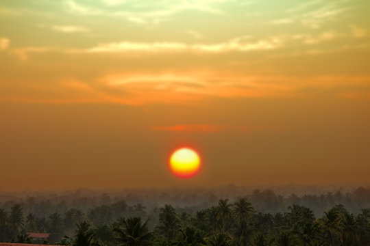 vague beckoning palm groves of India