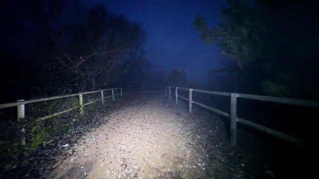 Naturaleza y camino por el campo en la noche.Invierno y niebla.