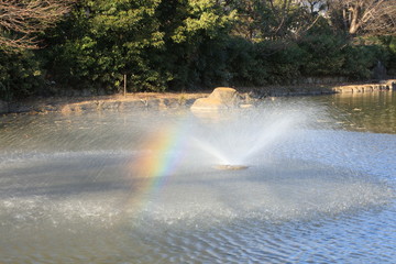 公園の噴水