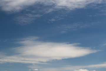 Altocumulus stratiformis