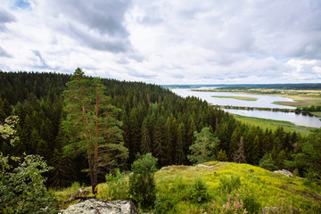 The view to the pine forest in Karelia