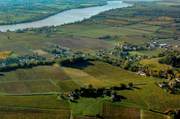 Fotobehang Aerial wiev Fronsac Vineyard landscape, Vineyard south west of France © FreeProd