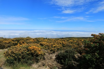 VIEW SINCE THE PITON MAIDO , MAFATE CIRCUS , IN REUNION ISLAND , FRANCE , OCTOBER 2016
